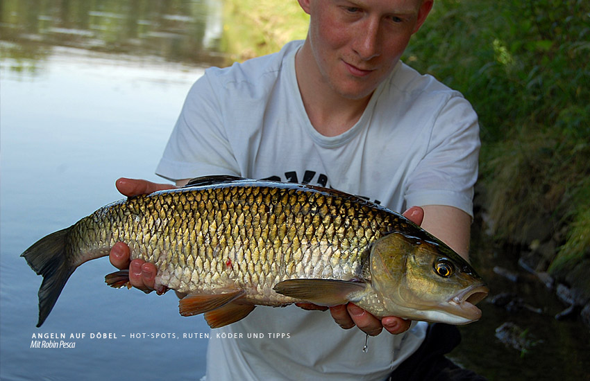 Robin Pesca beim Angeln auf Döbel