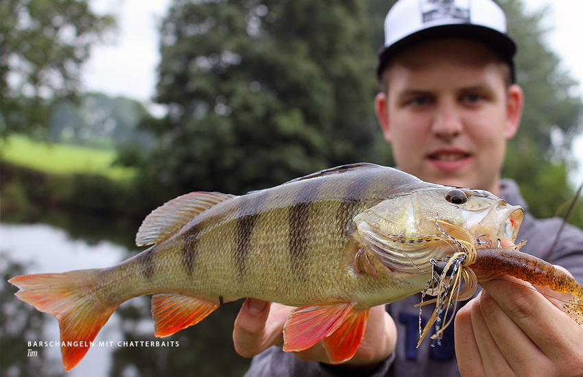 Barschangeln mit Chatterbaits im Sommer / Spätsommer