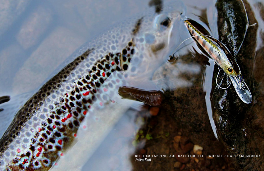 ZipBaits Rigge - Der Forellenwobbler für Bottom Tapping!