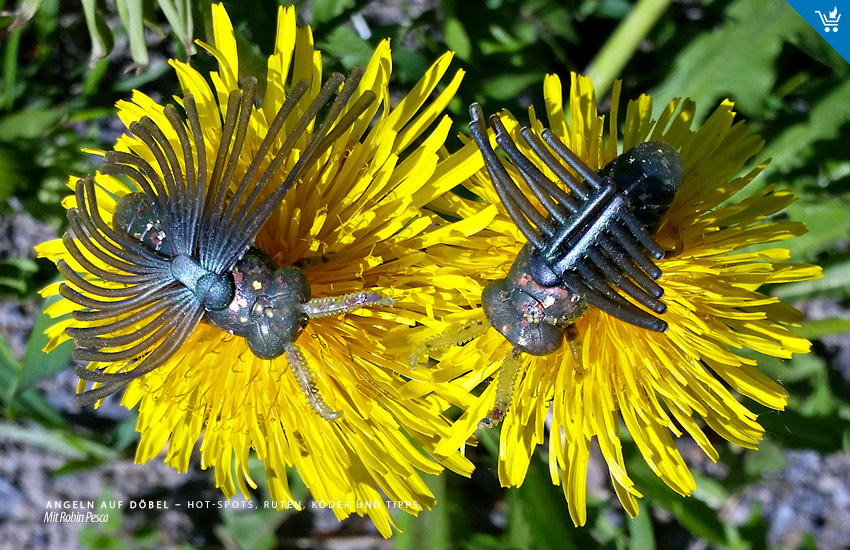 Köder für Döbel: Topwater, Gummiköder, Bug - Bait Breath BJ Bug