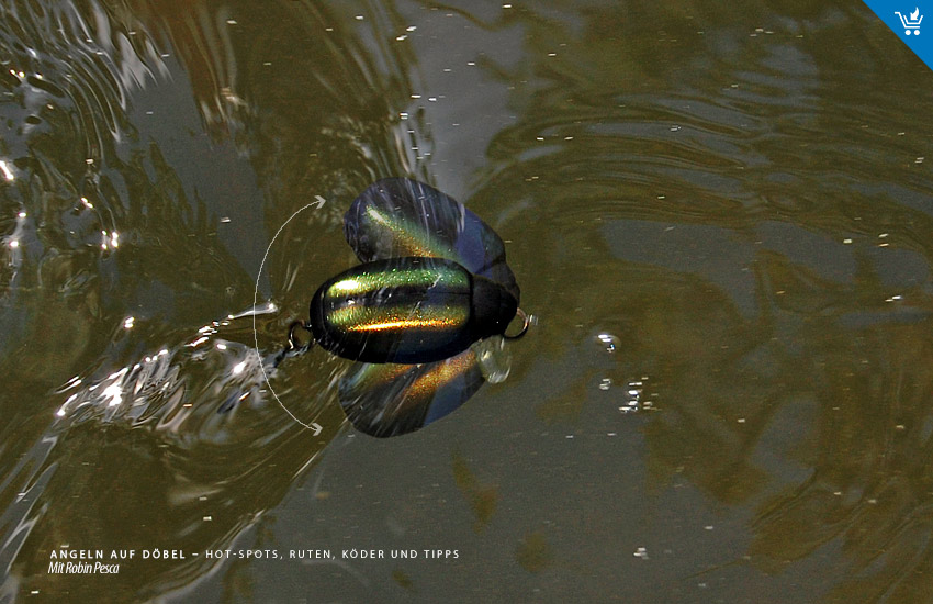 Köder für Döbel: Subsurface, Wobbler, Crankbait - Bassday Bun