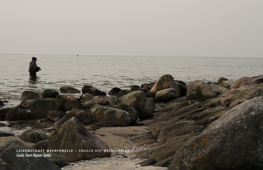 Meerforellenangeln an der Ostseeküste