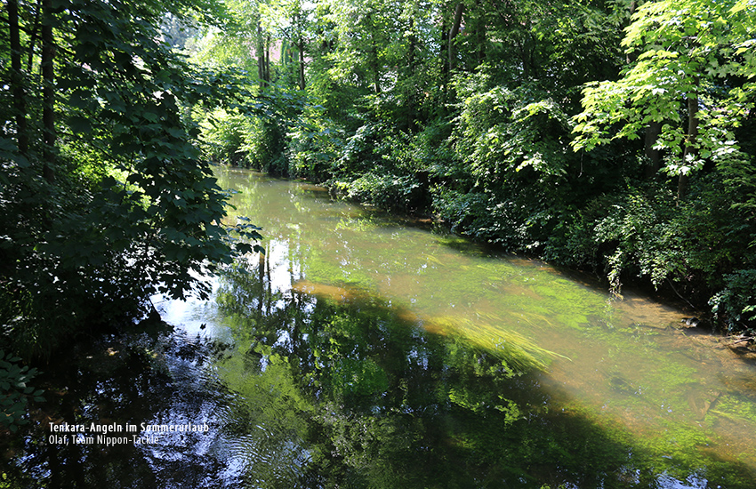 Tenkara-Angeln am Chiemsee auf Bachforellen