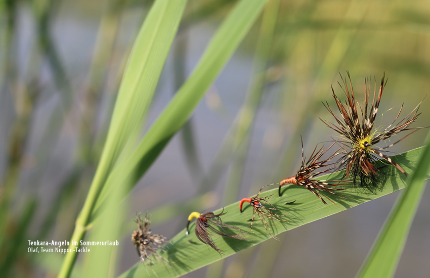 Tenkara-Fliegen