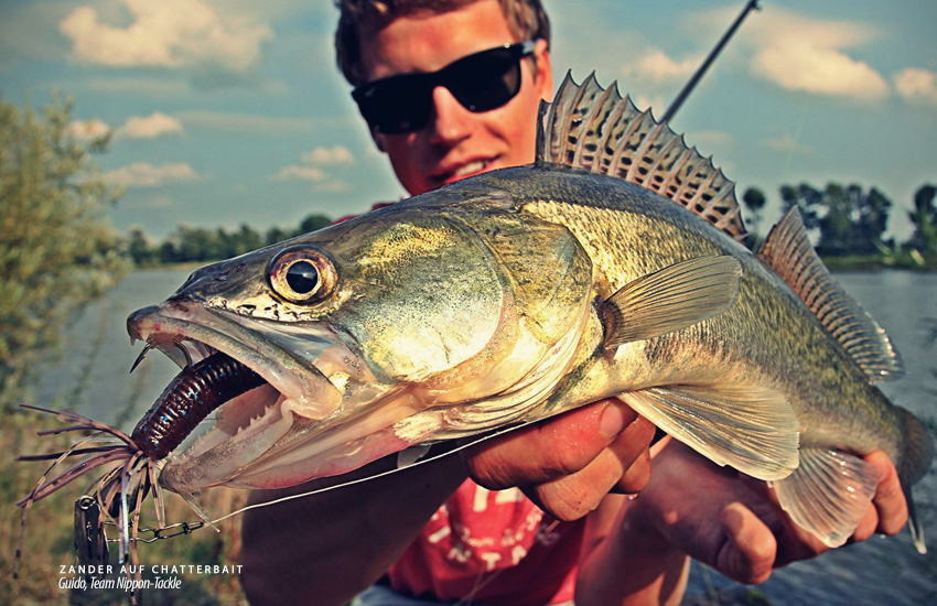 Chatterbait auf Zander