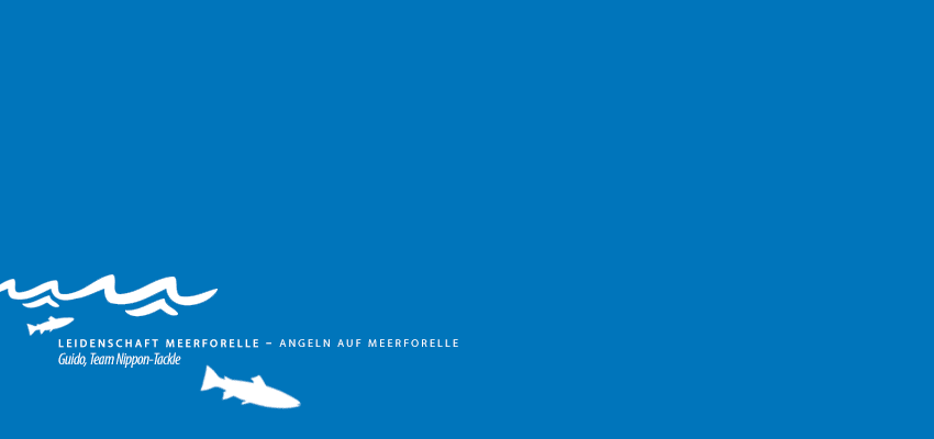 Leidenschaft Meerforelle – Angeln auf Meerforelle